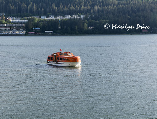Tender, Juneau, AK