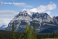 Icefields Parkway, AB