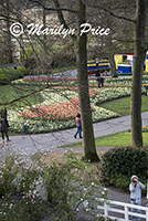Keukenhof Gardens, Netherlands