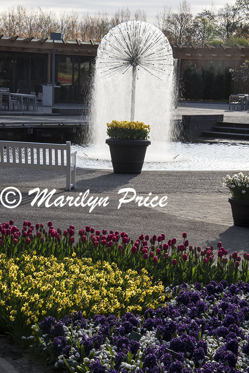 Spring bulbs and a fountain, Keukenhof Gardens, Netherlands