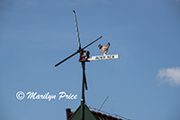 Weather vane, Zaandam, Netherlands