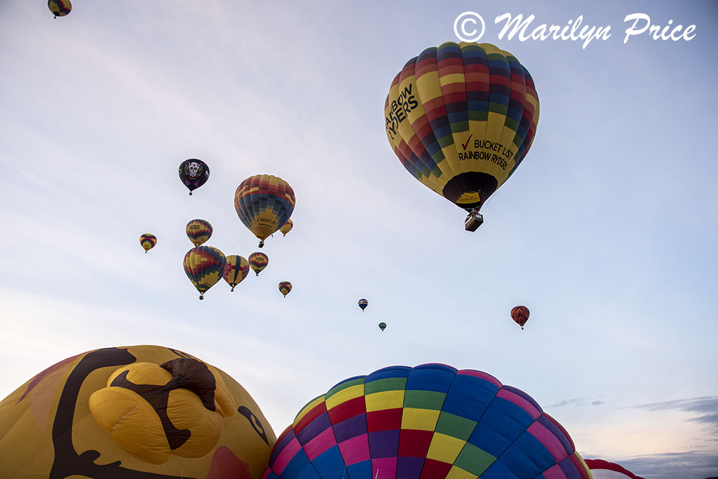 Balloons launch, International Balloon Fiesta, Albuquerque, NM