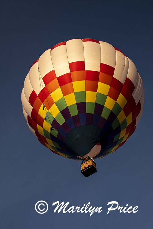 Balloons launch, International Balloon Fiesta, Albuquerque, NM