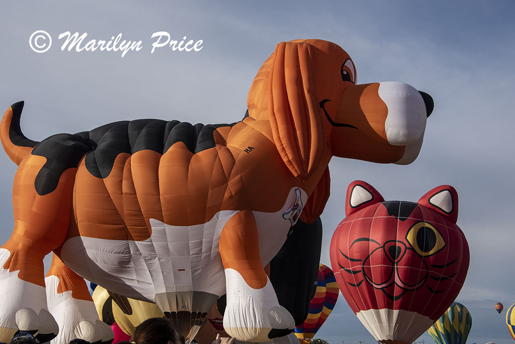 Some of the shape balloons join the others at launch, International Balloon Fiesta, Albuquerque, NM