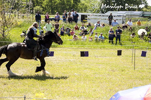 Jousting action, Montana Renaissance Faire, ZooMontana, Billings, MT