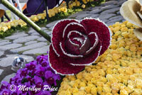 Details of Mrs. Meyer's Clean Day float (Plant a Garden - Believe in Tomorrow), Showcase of Floats, Pasadena, CA