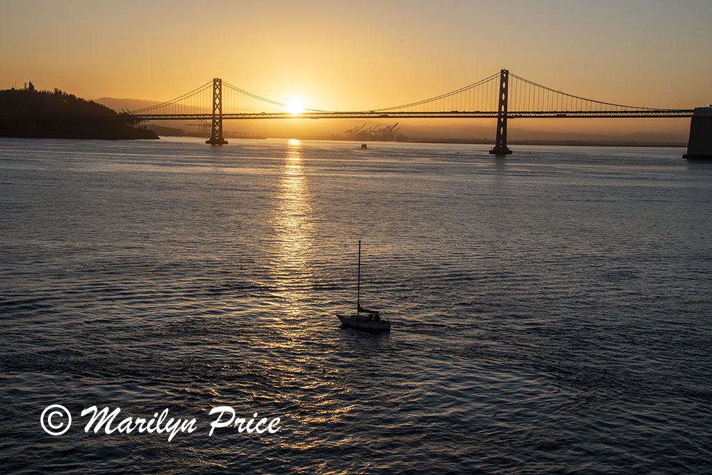 San Francisco-Oakland Bay Bridge and sailboat from our balcony, San Francisco, CA
