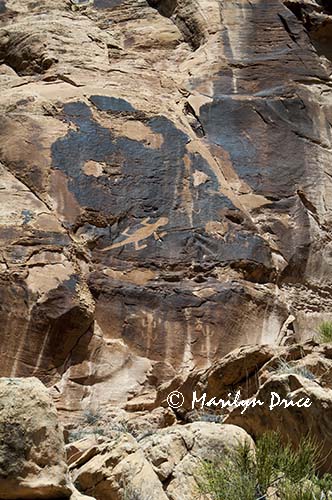 Petroglyphs, Dinosaur National Monument, CO