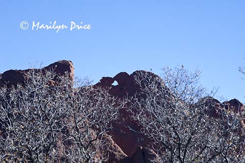 Kissing Camels, Garden of the Gods Park, Colorado Springs, CO