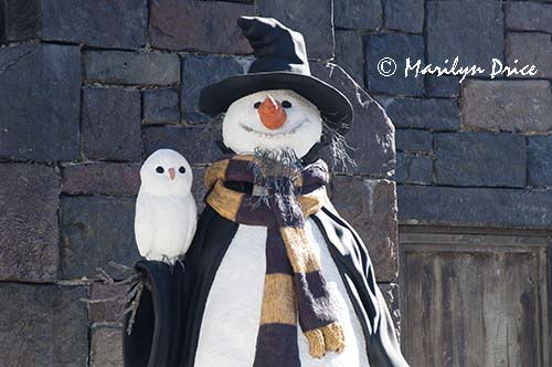 'Frozen' water trough, Hogsmeade, Harry Potter section of Universal's Islands of Adventure, FL