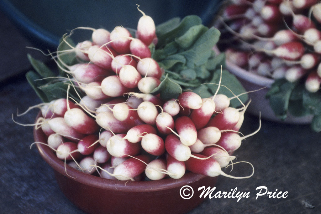 A bowl of radishes