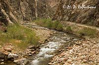 Bright Angel Creek along the North Kaibab Trail, Grand Canyon National Park, AZ