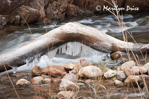 Icicles under a log, Bright Angel Creek, North Kaibab Trail, Grand Canyon National Park, AZ