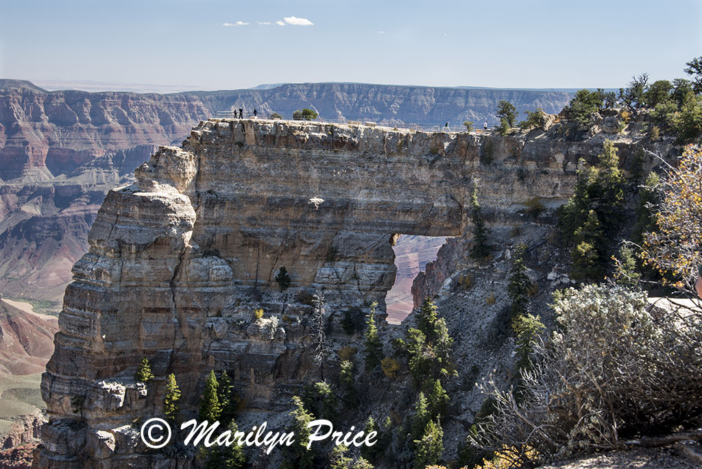 Angel's Window, Cape Royal Trail, on Cape Royal road, Grand Canyon National Park, AZ