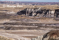 Blue Mesa, Petrified Forest National Park, AZ