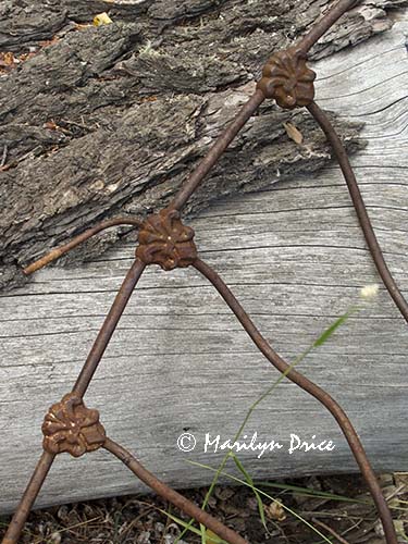 Details of an old iron bedframe, Caribou Ranch Open Space, CO
