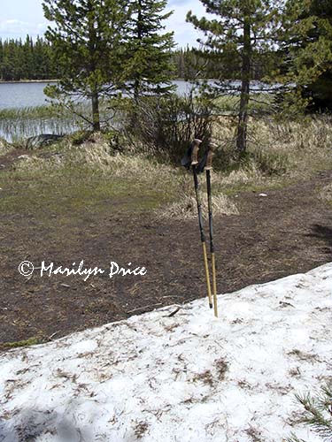 Carl's hiking poles in the snow at Bierstadt Lake, Rocky Mountain National Park, CO