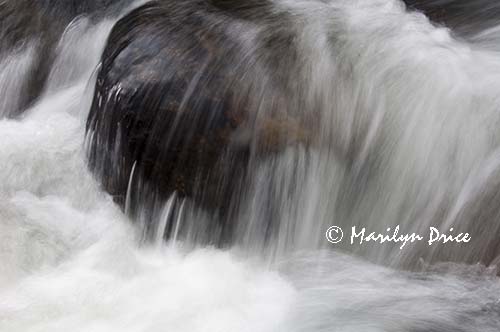Cascades on the North St. Vrain Creek,Wild Basin Trail, Rocky Mountain National Park, CO