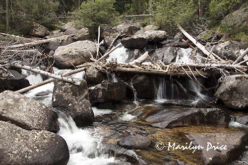 Cascades on the North St. Vrain Creek,Wild Basin Trail, Rocky Mountain National Park, CO