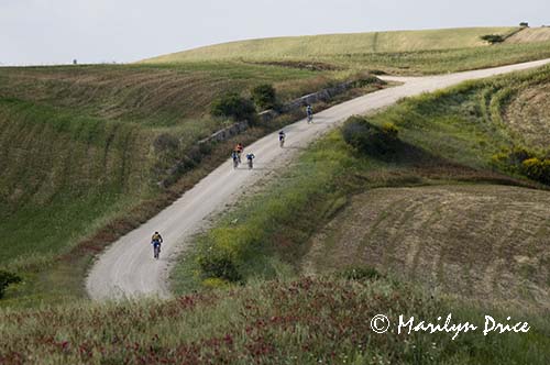 Bicyclists, Tuscany, Italy