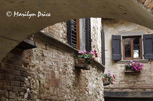 Windows with flowerboxes, Montefioralle, Italy