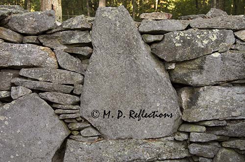 Rock patterns at 
