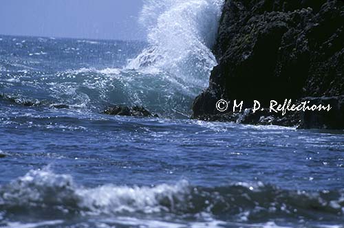 Waves of the Pacific Ocean crash upon the rocks at Whale's Head Beach, OR