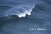 Ocean wave