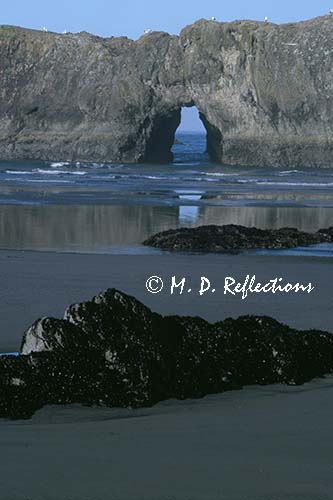 Cape Sebastian, OR