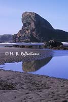 Cape Sebastian, OR