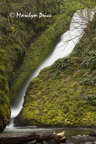 Bridal Veil Falls, Columbia River Gorge, OR