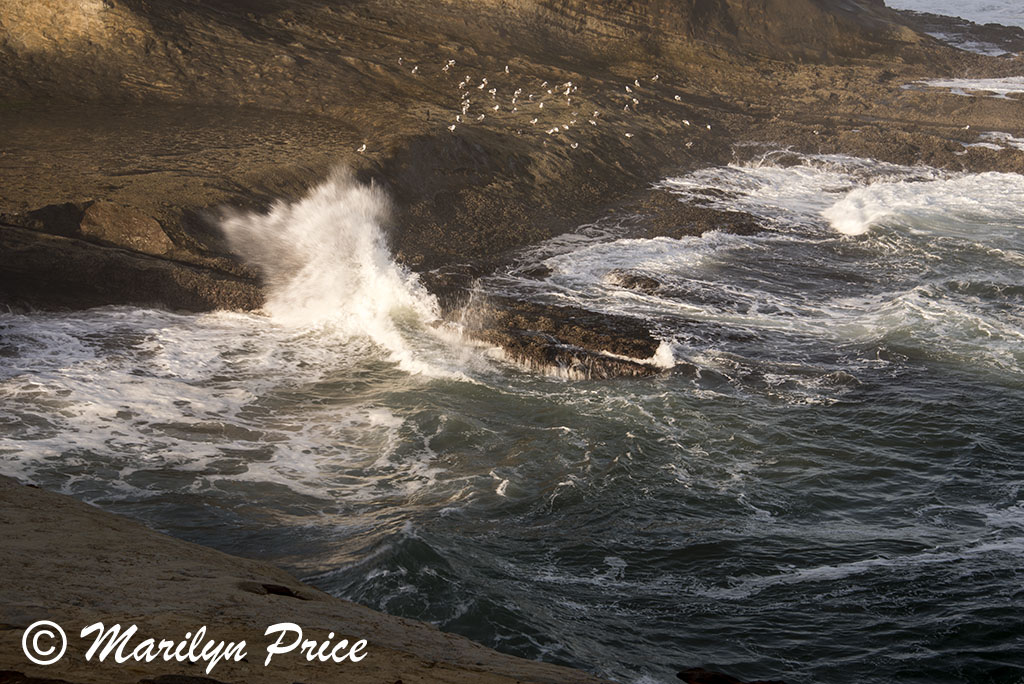 Waves, Cape Kiwanda, OR