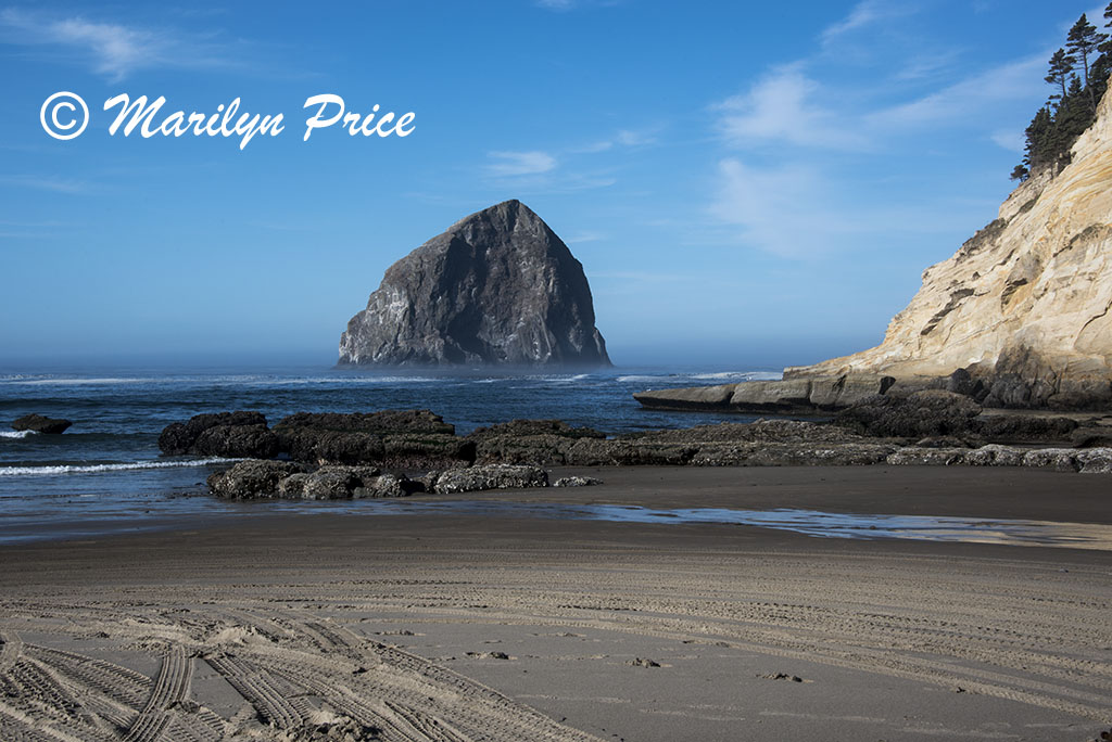 Waves, Cape Kiwanda, OR