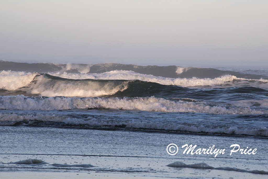Waves, Beverly Beach, OR