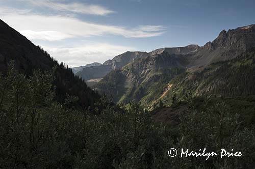 Looking down the valley, Yankee Boy Basin, near Ouray, CO