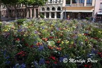 Garden area of market square, Mainz, Germany