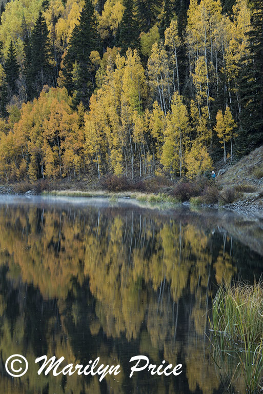 Autumn aspens reflected in Crystal Lake, San Juan Mountains, CO