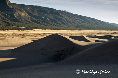 Dunes and shadows, Great Sand Dunes National Park, CO