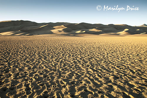 Dunes and shadows, Great Sand Dunes National Park, CO