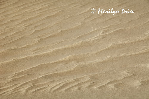 Patterns of different colors of sand, Great Sand Dunes National Park, CO