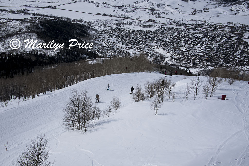 Skiers and boarders on a ski run, Steamboat Springs, CO