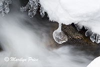 Snow and Fish Creek, Fish Creek Falls area, Steamboat Springs, CO
