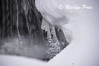 Snow and Fish Creek, Fish Creek Falls area, Steamboat Springs, CO