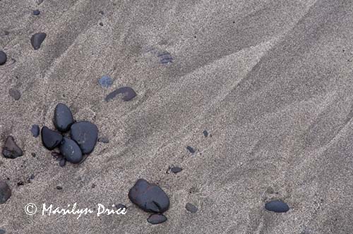 Surf and pebbles