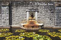 Fountain and waterlily pond, Hatley Castle, Victoria, BC