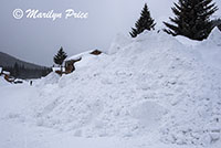 Piled snow, Cooke City, MT
