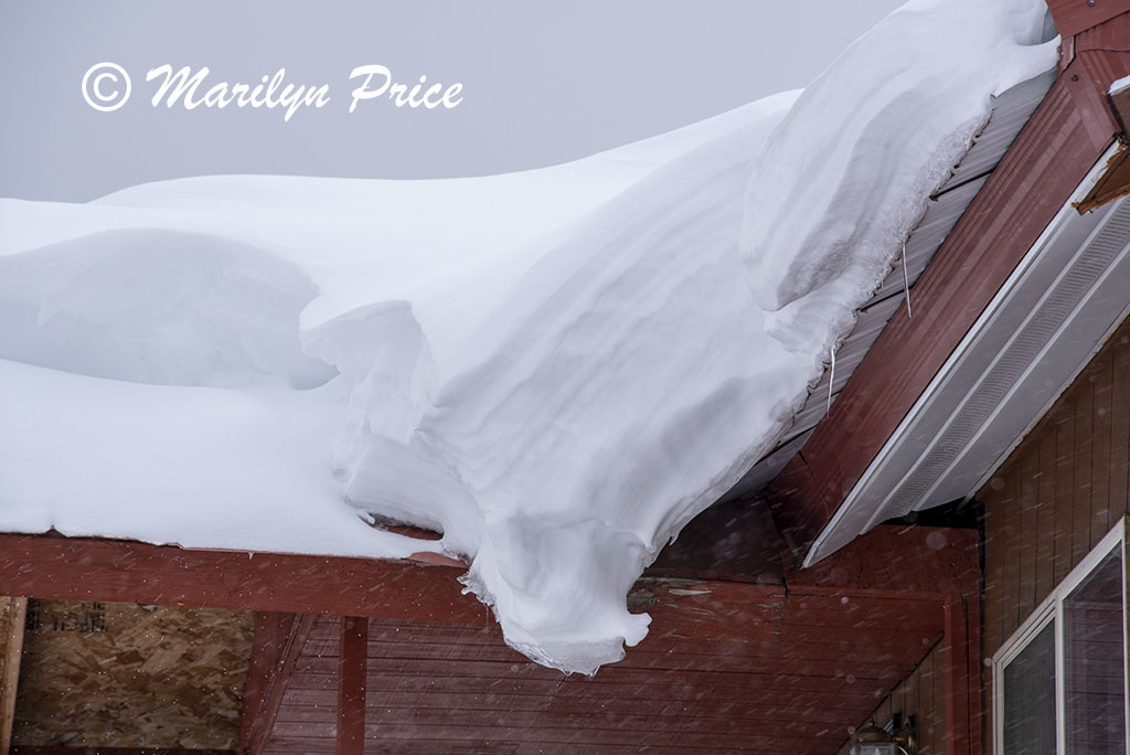Snow patterns off a roof, Cooke City, MT