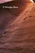 Handholds for vertical ascent, Lower Antelope Canyon, AZ