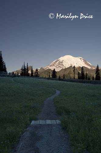 Mt. Rainier from Tipsoo Lake