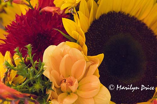 Mixed flowers